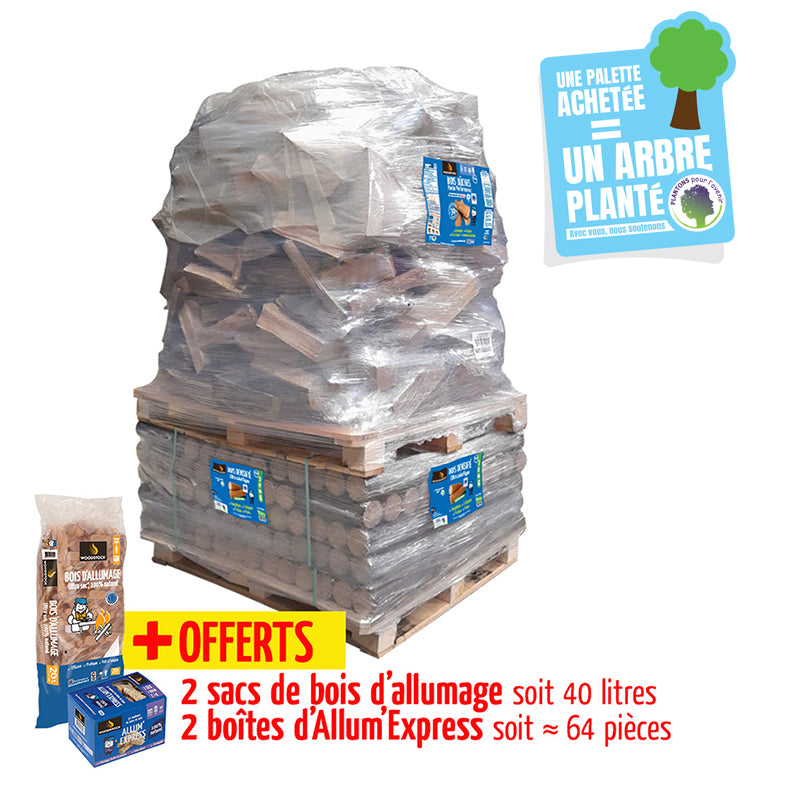 Pack Découverte